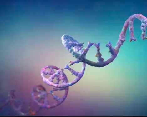 Molecular Biology Techniques